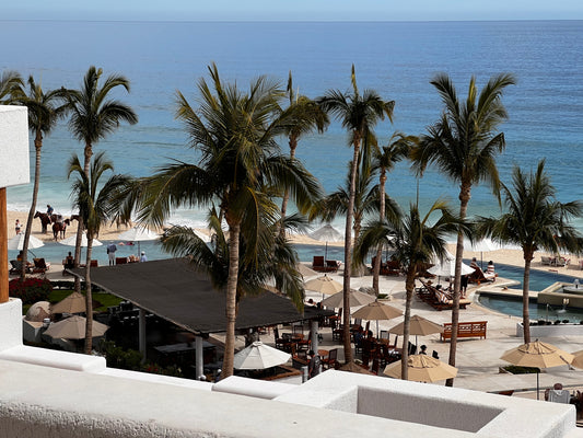 Romance in Paradise: A Couple's Guide to Cabo San Lucas, Mexico